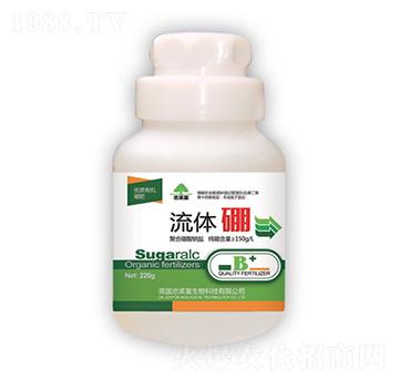 ���w��-�|���S