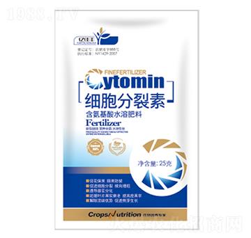 ����������-�|���S