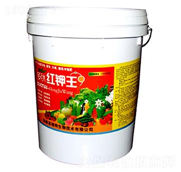 ���ļt���-�|���S