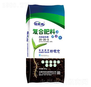 �ͺϷ���20-20-5-�����-��ٻ���