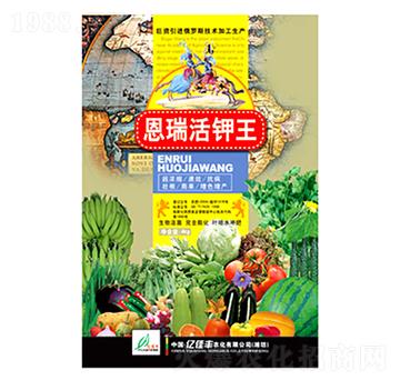 ��������-�|���S