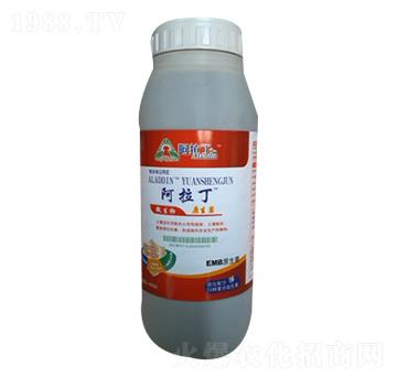 ����ԭ����-������