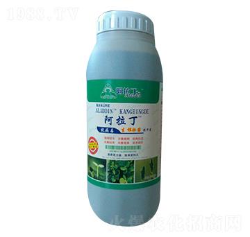 �������羫�A��-������