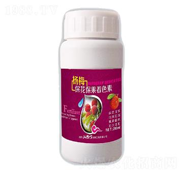 ��÷����������ɫ��-��