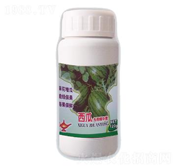 ���ό��þ��A��-������