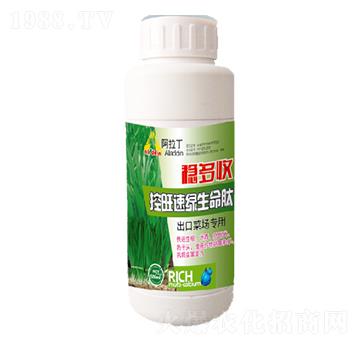 �����پG������-��(w��n)����