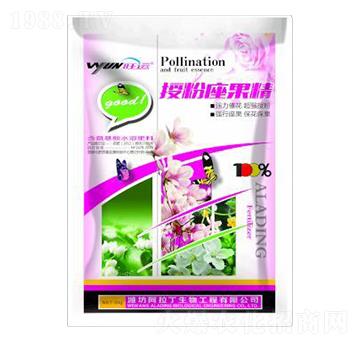 �ڷ�������-������