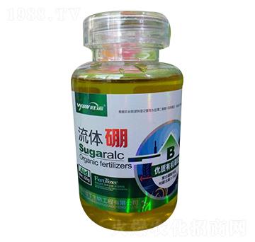 220g���w��-������