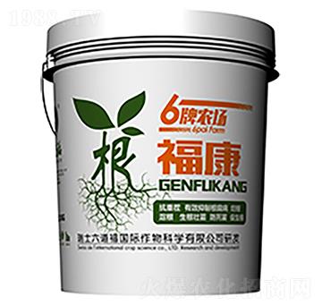 ������-������