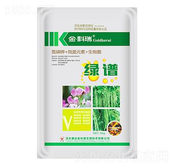 �G�V�����-�����