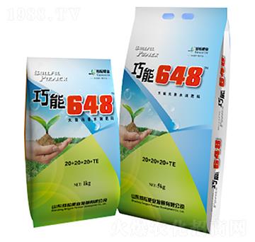 ����I�B(y��ng)�ʹ���Ԫ��ˮ��