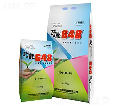 ����I�B(y��ng)�ʹ���Ԫ��ˮ��