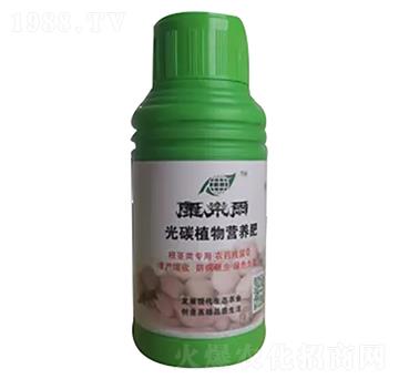 康樂(lè)爾根莖類(lèi)-康樂(lè)爾