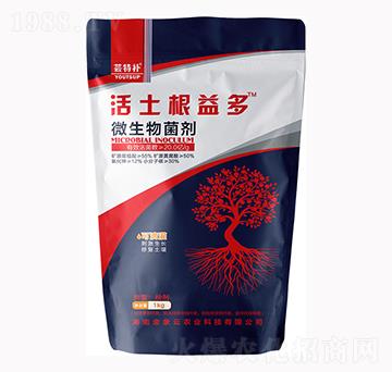 �|���a(b��)���������-�������r(n��ng)�I(y��)