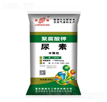 �۸����-����