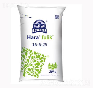 �����16-6-25-