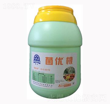 ����(y��u)��15-5-35+