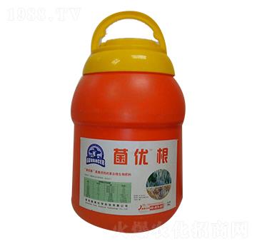 ����(y��u)��-����