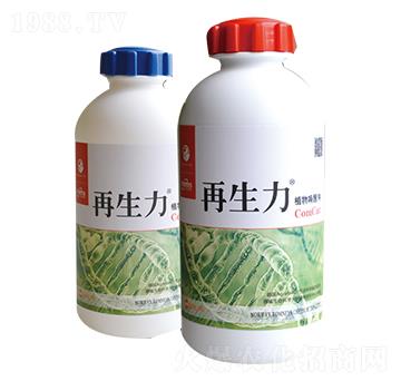 ������ֲ��ф�-����