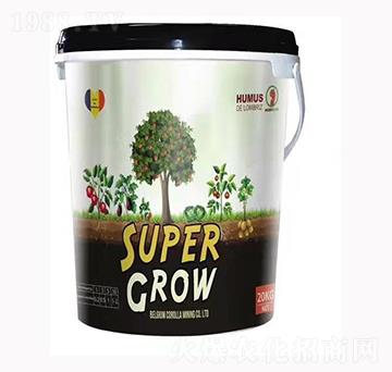 ���_�������Ͱ��-����