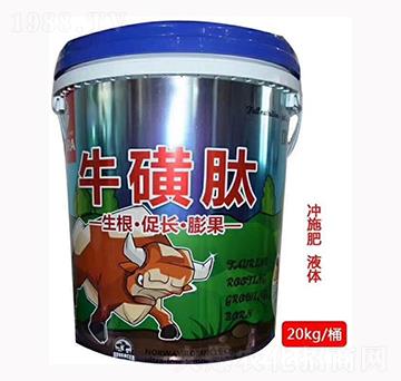 ţ����-����