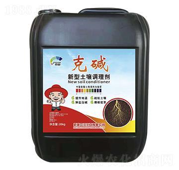 ���������{�턩-�ˉA-����