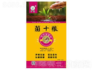 ΢�������-��ʮ�Z-�f(w��n)