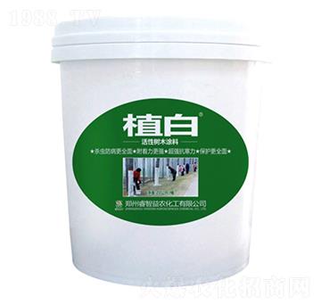 20ֲ׻Ԙ(sh)ľͿ-r(nng)