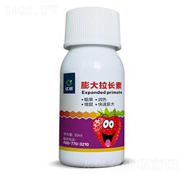 草莓膨大拉長素-匯禾生物