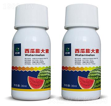 西瓜膨大素-匯禾生物