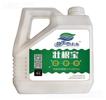 壯根寶-愛科沃土