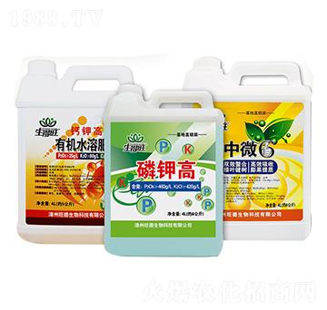 ������|(zh��)�ײͽM��-������-��������