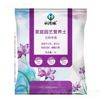 �m�ƌ��ü�ͥ�@ˇ�I�B(y��ng)��-�㝙�r�I(y��)