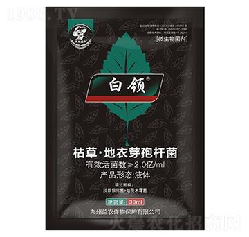 枯草·地衣芽孢桿菌-白領(lǐng)-九州益農(nóng)