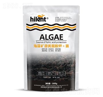 ����VԴ�S����⛣���-���{(l��n)��