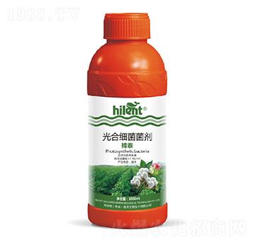 ��ϼ�(x��)������-��̩-���{(l��n)��