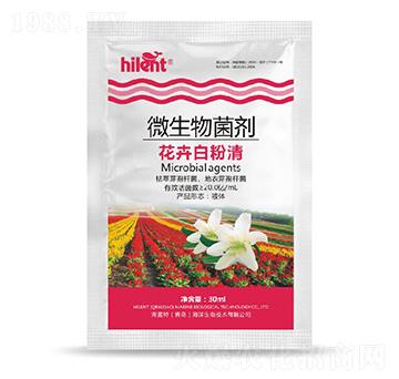 ΢�������-���ܰ׷���-���{(l��n)��