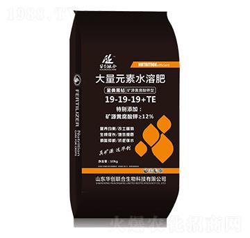 大量元素水溶肥料19-19-19+TE-華創(chuàng)聯(lián)合