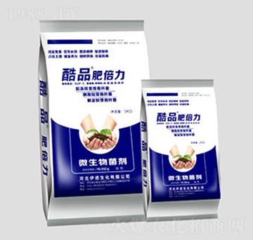 ��Ʒ�ʱ���-�ֵ����Z