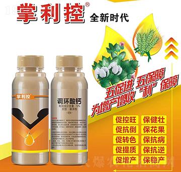 5%調(diào)環(huán)酸鈣-掌利控-宏光化工