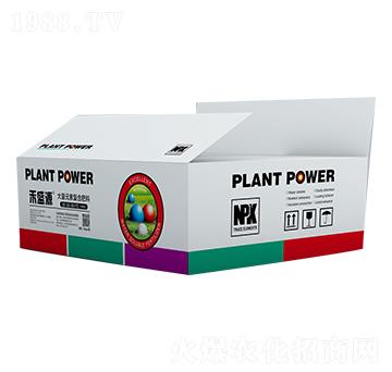 ����Ԫ�؏�(f��)�Ϸ���20-20-20+TE-��ʢԴ-������