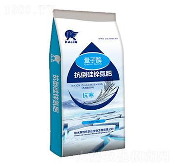 �������\����-����ø-��(l��)�r(n��ng)�I(y��)