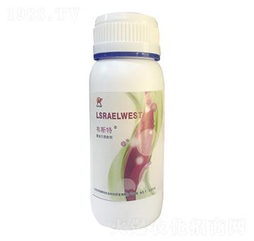 ���x���T��-�f˹��-��(l��)�r(n��ng)�I(y��)