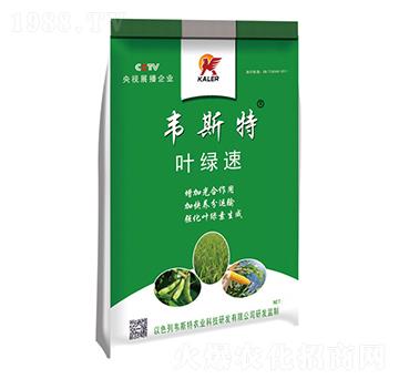 �~�G��-�f˹��-��(l��)�r(n��ng)�I(y��)