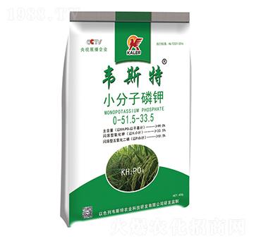 С�������-�f˹��-��(l��)�r(n��ng)�I(y��)