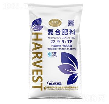 ��(f��)�Ϸ���22-9-9+TE-�¸���-�����֬�