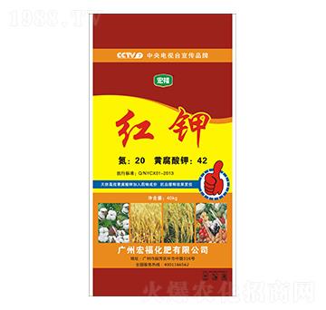 �t�-�������