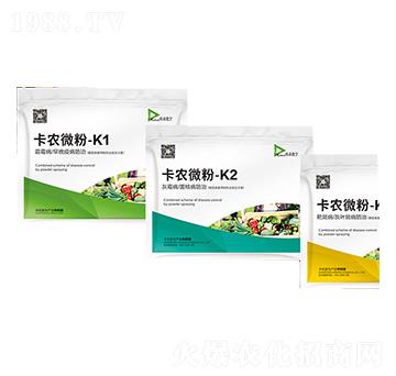 卡農(nóng)微粉系列（進(jìn)口助劑）-卡農(nóng)