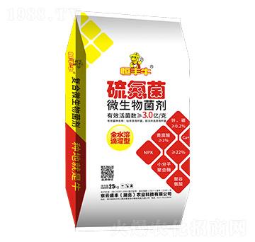 �򵪾�΢�������-����ʢ�S