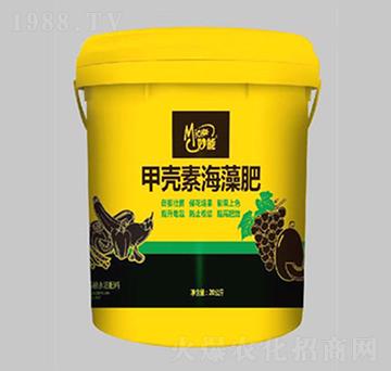 �ך��غ����-��������